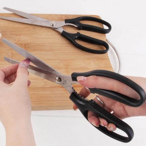 Best Kitchen Shears